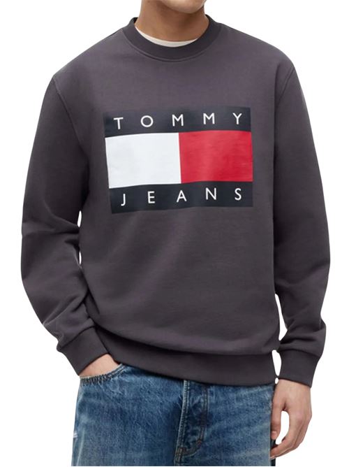 Felpa girocollo regular fit Tommy Jeans | DM0DM22643P08